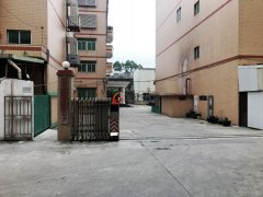 星聯(lián)圣誕禮品廠(chǎng)